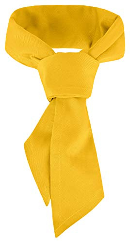 DESERMO Gastro Dreieckstuch 120x80cm | Hochwertiges Profi Halstuch aus dickem Mischgewebe (65% Polyester / 35% Baumwolle) | Berufsmode mit großer Farbauswahl | Schweisstuch mit hohem Stoffgewicht