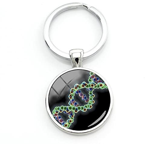 Vintage DNA Molekül konzeptionelle Kunstwerke Damen Herren Schlüsselanhänger Menschliche Gene Kunst Bild Tasche Auto Schlüsselanhänger Ring, weiß, L