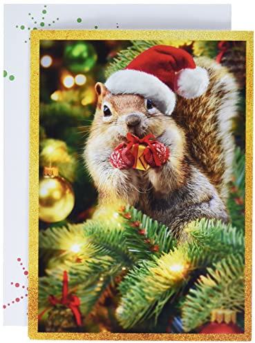 Avanti Press Weihnachtskarten mit Urlaubsumschlägen, Weihnachtsmann-Eichhörnchen-Geschenk, 10 Stück, mehrfarbig (33015)
