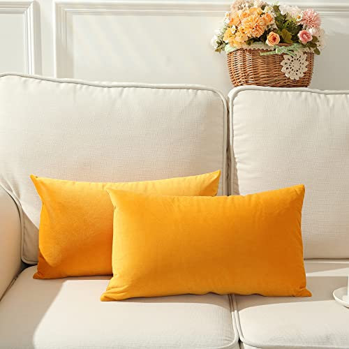Stellhome Rechteckige Samt-Kissenbezüge, dekorative Kissenbezüge für Bett, Couch, Sofa, Bank, 30 x 50 cm, Gold, 2 Stück