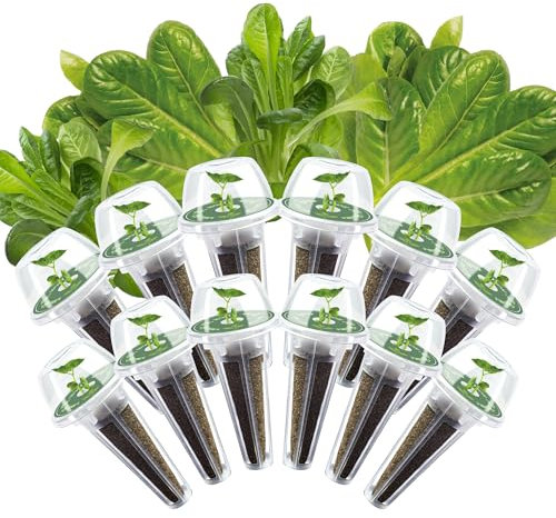 Romaine Seed Pods Kit for Hydroponics, 12 Pods Grow Anything Kit for Indoor Hydroponics Growing System, Hydroponics Supplies with 12 Grow Sponges, 12 Plant Baskets, 12 Pod Domes and Labels