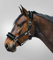 WALDHAUSEN Halfter First, SH, schwarz