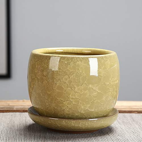 SEEKIS Jelly Fleshy Plants Ceramic Pot Ice Cracked Glazed Flower Pot Succulent Plant Pot Cactus Bonsai Pot Flower Pot Container Planter Garden Decoration