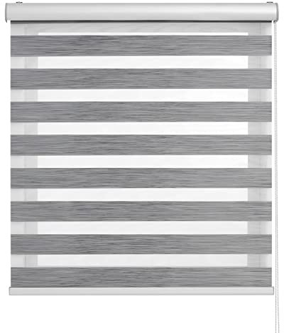 BLINDECOR | Estores Enrollables Noche y Día | Galería Metálica | Fácil Instalación a Pared y Techo | Modelo Luxury Premium | Color Antracita | Medidas 160x250 cm | Tamaño de la Tela 157 x 245 cm