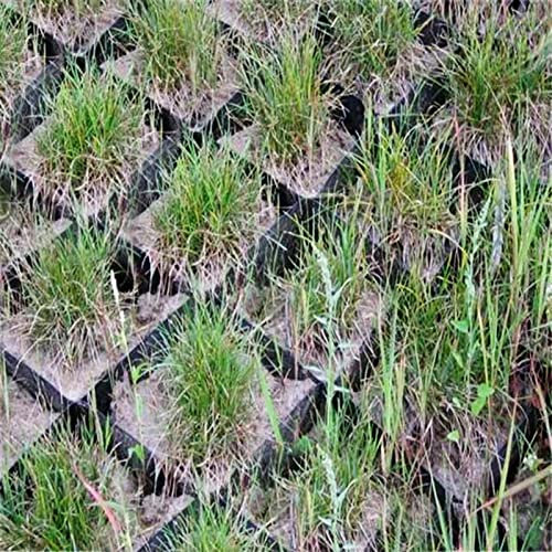 Kiesgitter 2 Tiefes Durchlässiges Stabilisierungssystem Für Rasen, Geogitter-Bodenstabilisator Für Den Außenbereich, Schotterbodengitter Für Untergrundarbeiten ( Color : WxH , Size : 5x6 m/16.5x20 ft