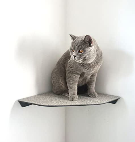 LucyBalu® CORNER Katzenliege & Kletterstufe mit Filzauflage für Wandecken | Wandliege für Katzen | Katzenstufe Wandecke | Katzen Wand Liegeplatz | Katzenmöbel für Kletterwand | Katzenregal | Anthrazit