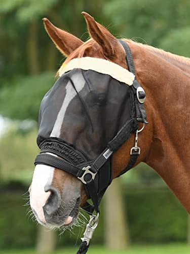Busse