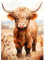 DAERLE Diamond Painting Hochland Kuh, 5D Set für Erwachsene, Zubehör, Bezaubernde Kuh Full Drill Geschenk für Home Wall Décor 30x40cm