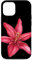 iPhone 12/12 Pro Red Flowers Blooming Tiger Lily Watercolor Floral Lover Case