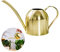 Gießkanne aus Edelstahl, klein, lange Öffnung, Gießkanne für Haus, Innen- und Außenbereich, Garten, Sukkulenten, 500 ml (Gold)