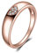 JewelryPalace Herz Liebe Verlobungsring Eheringe Ring Silber 925 Damen, Zirkonia Silberringe Trauringe Vorsteckring Hochzeitsringe Memoirering Ewigkeitsring Band Ringe Set, Damen Schmuck Rosegold 59