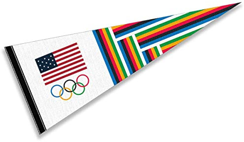 WinCraft Olympic Rings USA Team Full Size Pennant