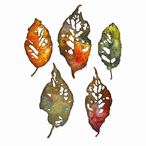 Sizzix Set Leaf Fragments by Thinlits Matrizensatz 5PK Blattfragmente von Tim Holtz, 665559, Kohlenstoffstahl, Multicolor, Einheitsgröße