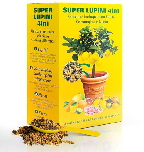 SAVINI VIVAI engrais aux agrumes Super Ground Lupins Engrais organique 4 en 1 pour une production abondante comme les citrons, mandarines, oranges en pot et entièrement moulues, 800g