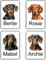 Personalised DACHSHUND (SAUSAGE DOG) JUMBO FRIDGE MAGNET - FOUR DESIGNS AVAILABLE - Overall Size 9.7cm by 6.7cm