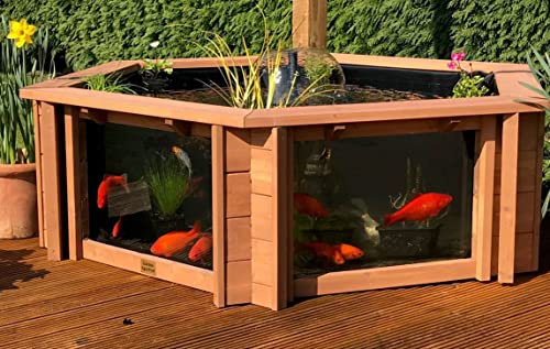 Lily Clear View Garden Aquarium - Estanque hexagonal elevado (marrón natural)