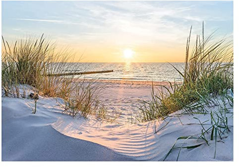 WallArena - Vlies Fototapete Strand Meer Nordsee Dünen Sonne Panorama Natur 208x146 cm - Fototapeten - Tapeten - für Wohnzimmer Schlafzimmer - Vliestapete Wandtapete Tapete 3D Effekt- inkl. Kleister