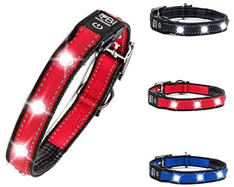 BI INTERNATIONAL ® Hundehalsband Leuchtend & Aufladbar - Wasserdichtes LED Leucht-Halsband für Hunde aus Verstärktem Nylon - Hochwertig & Sicher mit starker Leuchtkraft (L, Rot)