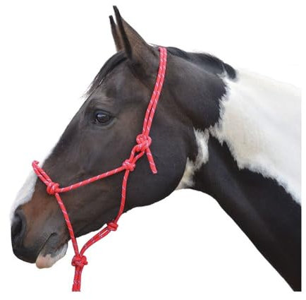 Hi-Viz Reflektierendes Seilhalfter mit Führstrick Se Voll Verstellbar (Cob, Rot)