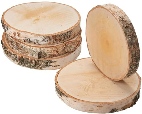Große Holzscheiben zum Basteln oder Dekorieren - 5 Stück naturbelassene Baumscheiben ca. 20 cm (18 - 22 cm) Durchmesser aus Birkenholz - runde Holz Birkenscheiben als Holzdeko Holzplatten
