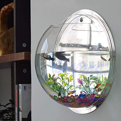Kcjhagbd Clear Acrylic Betta Fish Bowl - Hanging Wall Mounted Aquarium for Turtles, 30 Gallon