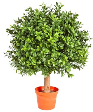 aplanta Künstlicher Buchsbaum - Rico | 40 cm, Echtholzstamm, für drinnen, Kunstbaum, wie echt, Allergiker geeignet, pflanzliche Dekoration Praxis, Office & Wohnzimmer