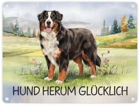 Berner Sennenhund auf der Wiese Metallschild in 15x20 cm mit Spruch Hund herum Glücklich Aquarelldesign zeigt Berner Sennenhund auf grasbewachsenem Feld