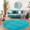 SIMPEX Flauschiger Teppich Wohnzimmer Schlafzimmer Läufer Flur Esszimmer Küchenteppich Hochflor Einfarbig Modernes Design 30 mm Florhöhe Kuschelweich, Türkis, 80 cm Rund