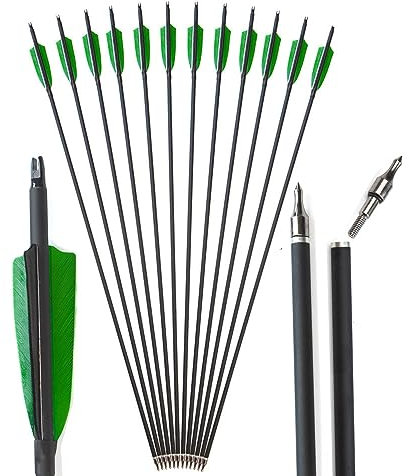 AMEYXGS 12pcs Bogenschießen Carbon Pfeile 500 Spine mit Truthahnfeder Kohlenstoff Pfeil Praxis Jagd Pfeil für Compoundbogen und Recurve Bogen (12pcs, grün)