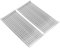 WEBROIL Grill-Emitterplatte für CharBroil Performance TRU-Infrarot/Amplifire 2 Brenner 463672216 463655621 463672416, Grillrost-Ersatz für Charbroil G327-1100-W1, 2 Stück, Edelstahl