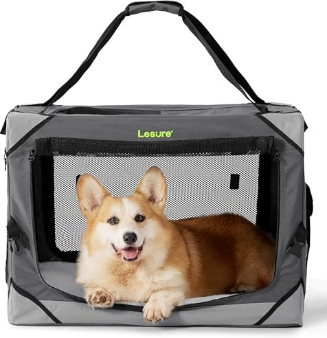 Lesure Hundebox Auto Transportbox Hund Hundebox Faltbar, Transportbox mit Tragegriffen 61 x 40 x 40 cm, Hundetransportbox Auto Klein & Groß Hundebox Faltbar, Transportbox Katze, Oxford-Gewebe, Grau
