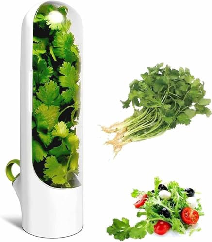 JUPPLIES Conservador de Hierbas Frescas - Porta Hierba Almacenaje de Hierbas para Frigorifico - Recipiente Contenedor de Hiebas y Verduras 6,5 x 8,5 x 25,5 cm