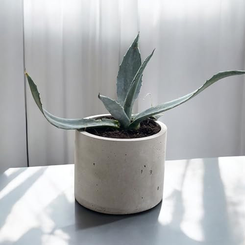 Genérico Maceta de Hormigón Moderna – Hecha a Mano, Diseño Minimalista, Resistente para Interior y Exterior – Ideal para Decoración de Jardín y Hogar