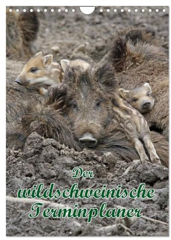 Der wildschweinische Terminplaner (Wandkalender 2026 DIN A4 hoch), CALVENDO Monatskalender: Schwarzkittel in heimischen Wäldern (CALVENDO Tiere)
