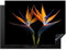 KitchenYeah© Herdabdeckplatte Einteilig Induktionsmatte Küche Abdeckung Ceranfeld Herd Abdeckplatte Deko Vinyl Matte Aufrollbar Pflanzen - Blau - Blumen - Paradiesvogelblume - Schwarz - 70x52 cm