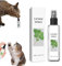 Kitty Joy, spray per gatti con erba gatta e sedano, 20/100 ml, spray all'erba gatta per gatti al coperto, spray per addestramento gatti con erba gatta, sedano e erba gatta per gatti calmanti e