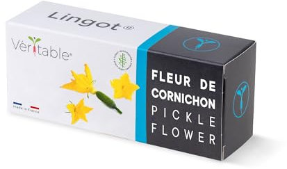Lingot® Gurkenblume – Kompatibel mit Véritable® und Exky® Indoor-Gemüsegärten – Gebrauchsfertige Nachfüllpackung – Substrat mit Integrierten Samen..