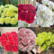 600 pcs Nelken Samen, Bartnelken Samen bienenblumen samen, ostergeschenk Nelken Samen Balkon, blumen deko, winterharte pflanzen für garten blumensamen balkon, garten geschenke für