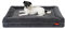 Balkis Hundebett Divan, Made in Germany, Anthrazit, S/M - 90x65 cm