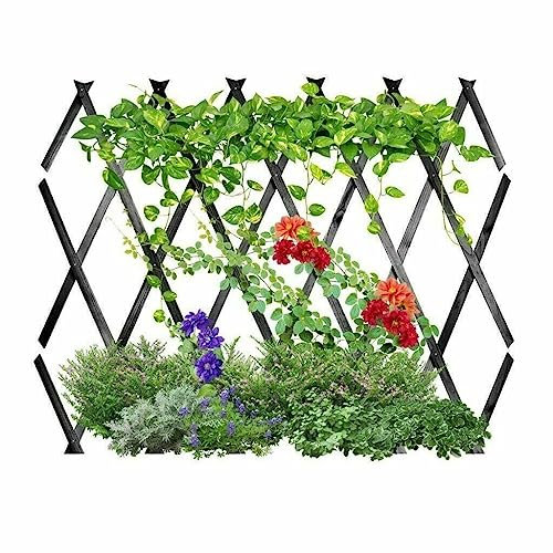 WILSONS DIRECT - Extendable Wooden Trellis Natural Garden Expanding Plant Support - Flowers Vines Climbing Plants Support Panels - Weather Resistant (30x180cm (1ft x 6ft), Dark Grey)