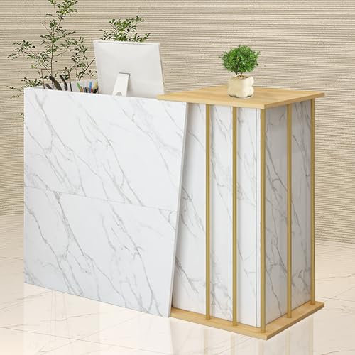 GAOXIAO Empfangstheke Empfangstresen mit Schreibtisch Rezeptionstheken Laden-Theke Verkaufstheke Verkaufstisch, Kassentheke Bürotheke Reception Tisch mit 2 Schubladen und 1 Schrank A 120 cm