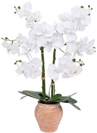 Orchidee Pot trct Dena h65 - Atmosphera créateur d'intérieur