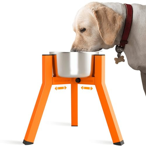 SHAINFUN Support de gamelle orange pour chien, largeur réglable et surélevée pour gamelles de 17,8 à 27,9 cm, mangeoire à eau et nourriture, support surélevé en métal, 27,9 cm de haut (bol non inclus)