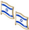 FRCOLOR 2Stücke Israel Flaggen Brosche Dekorative Anstecknadeln Vielseitig Einsetzbar für Kleidung Taschen Hüte mit Langlebiger Glatter Oberfläche