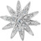 Brosche -Diamantstern- Große Anstecknadel mit funkelnden Stern aus Swarovski Steinen Sisi Damen-Schmuck Durchmesser 3,5 cm Verpackt in schöner Geschenkbox (Brosche - Groß)