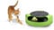 ADEPTNA Cat Kitten Catch the Mouse Motion Cat Toy Moving Play Interactive Grooming Fun and Exercise Scratch Mat