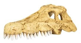M&S Reptilien ReptiZoo Krokodilschädel (Crocodile Skull Hide Cave) (ERS34) Größen S