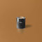 New Walls Pintura de emulsión líquida de lujo para interiores, color naranja, marrón claro, 1 L