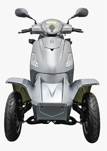 Vita Care 4000 Duo Li Seniorenmobil 2-Sitzer 4-Rad Elektromobil mit 1000 W & Wechselakku bis zu 100 km Reichweite (Light Grey, 60V/20Ah Lithium-Akku: bis zu 50 km Reichweite)