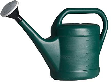 RJJ Arrosage Can Home Jardinage Arrosage de Jardinage à Domicile de Plein air Bureau d'arrosage intérieur Pot Pot Jardin Potchette Plante Arrosage Can (3L)